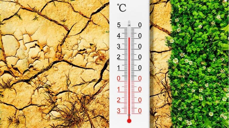 Climate Crisis Reaches New Heights: February 2024 Records Hottest Global Temperatures