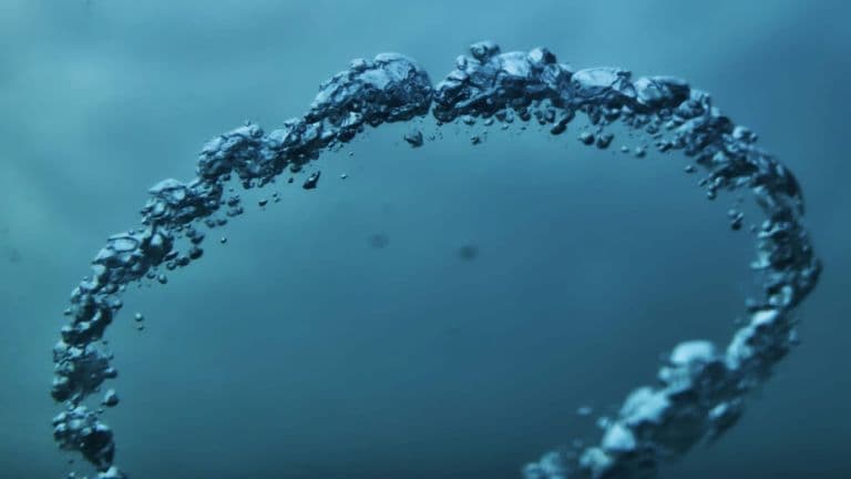 SkyWater Halts $1.8B Semiconductor Project in Indiana Amid Funding Challenges