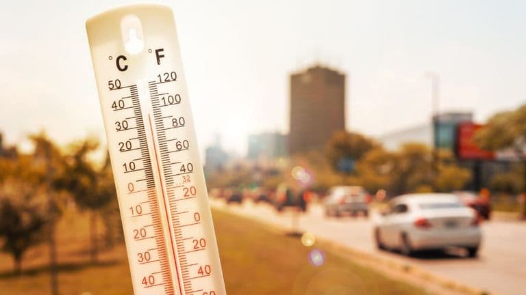 Unprecedented Heatwaves and Climate Extremes Raise Urgency for Global Action