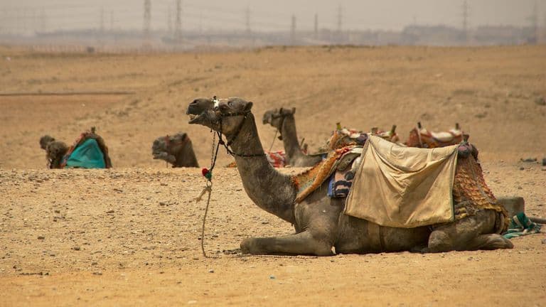Middle East Conflict Escalates, Affecting Global Stability