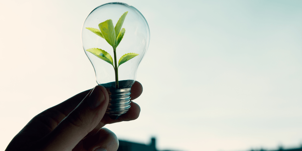Conscious Leadership and Purpose‑Driven Entrepreneurship: Inspiring Developments Shaping Business and Personal Growth