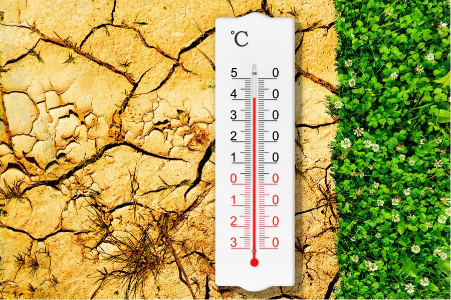 Climate Crisis Reaches New Heights: February 2024 Records Hottest Global Temperatures