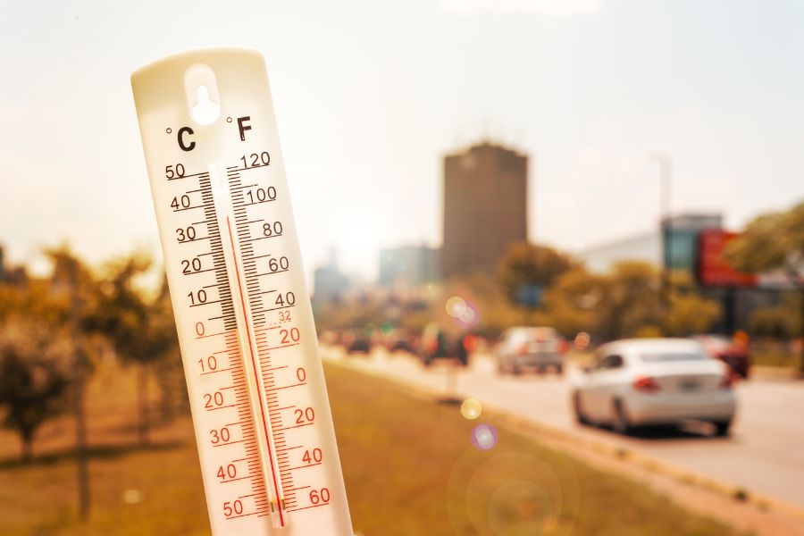 Unprecedented Heatwaves and Climate Extremes Raise Urgency for Global Action