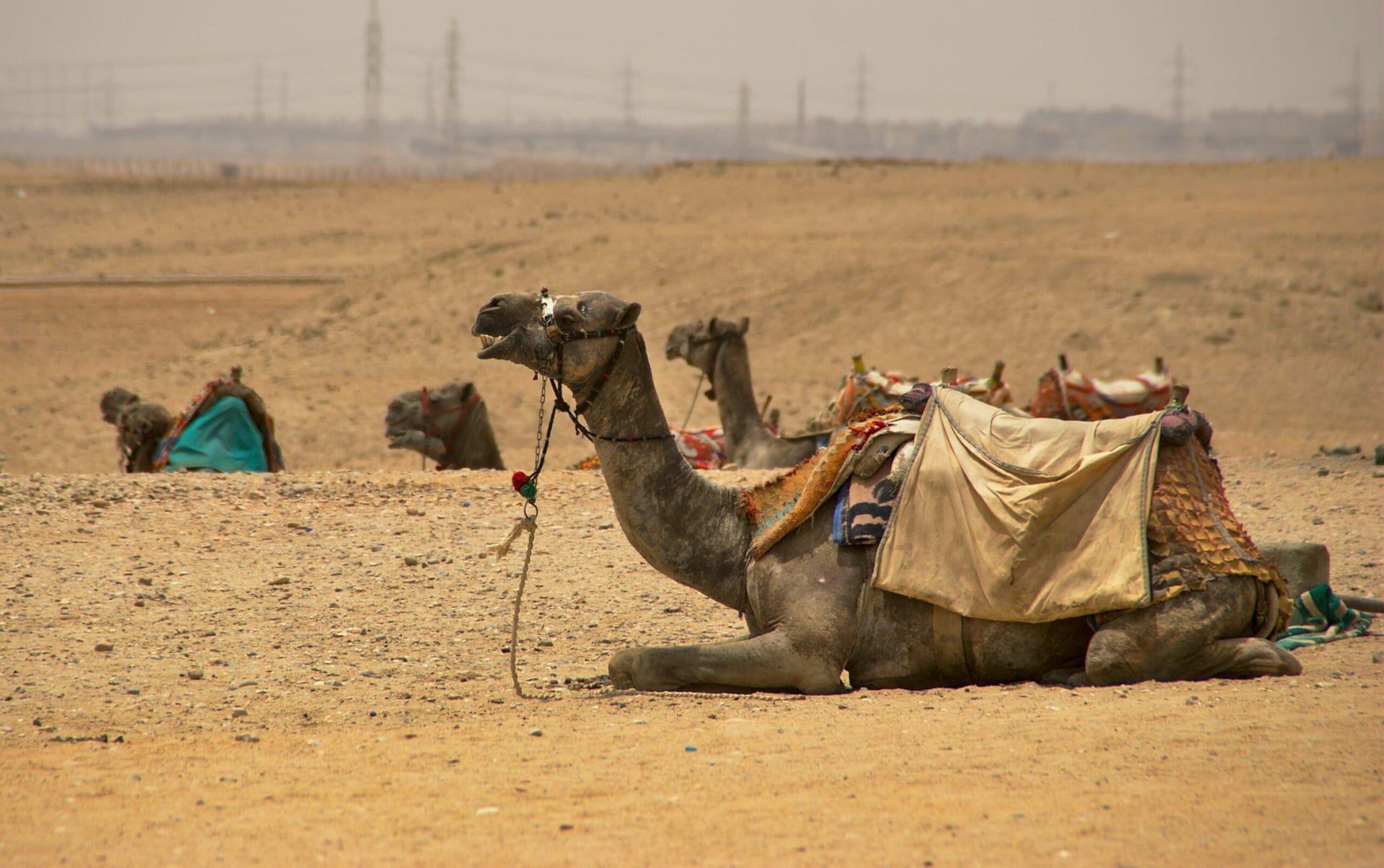 Middle East Conflict Escalates, Affecting Global Stability