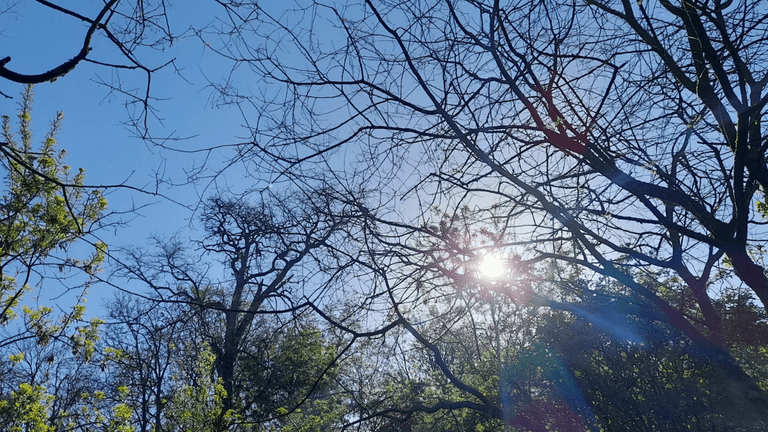 2024 becomes hottest year on record