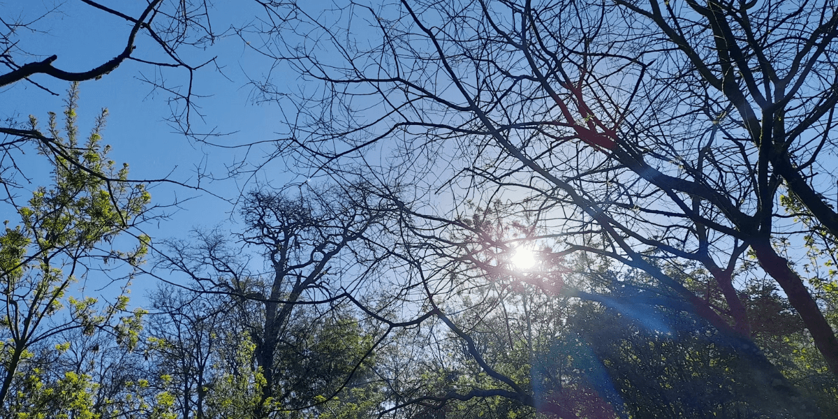 2024 becomes hottest year on record