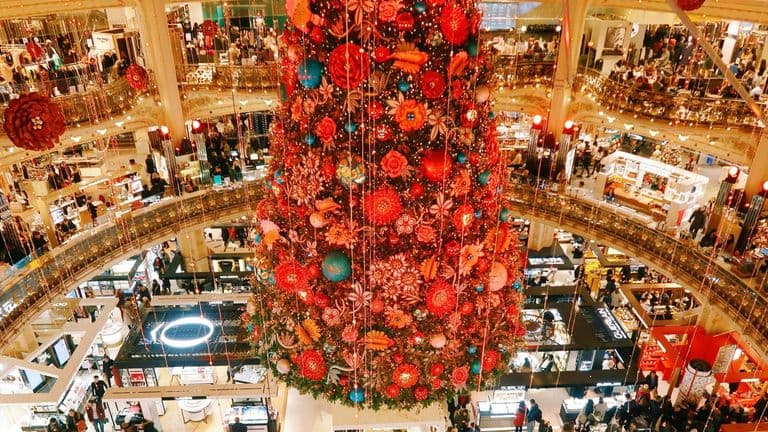 Retailers Brace for Tough Holiday Season as Inflation and Rising Costs Strain Consumer Spending