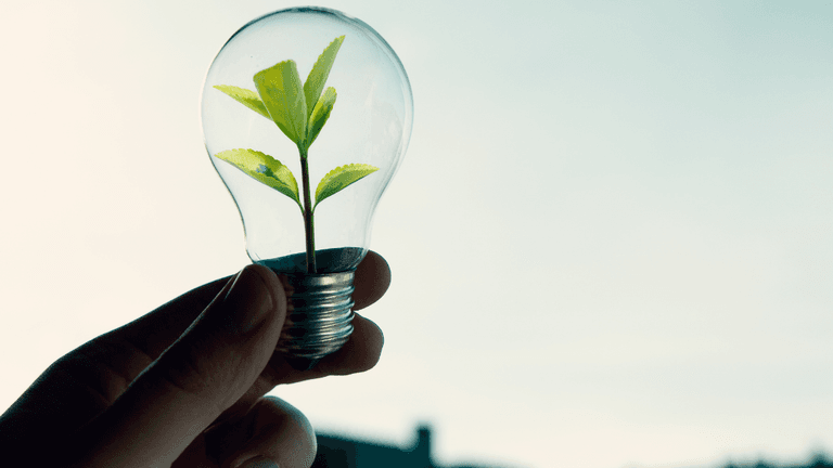 Conscious Leadership and Purpose‑Driven Entrepreneurship: Inspiring Developments Shaping Business and Personal Growth