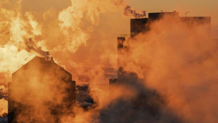 Climate Crisis Escalates as 2024 Becomes Hottest Year on Record