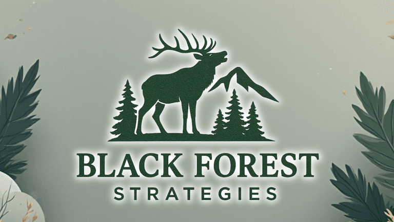 Black Forest Strategies is bridging the funding gap for rural nonprofits and municipalities, securing lasting growth through expert strategy and support.