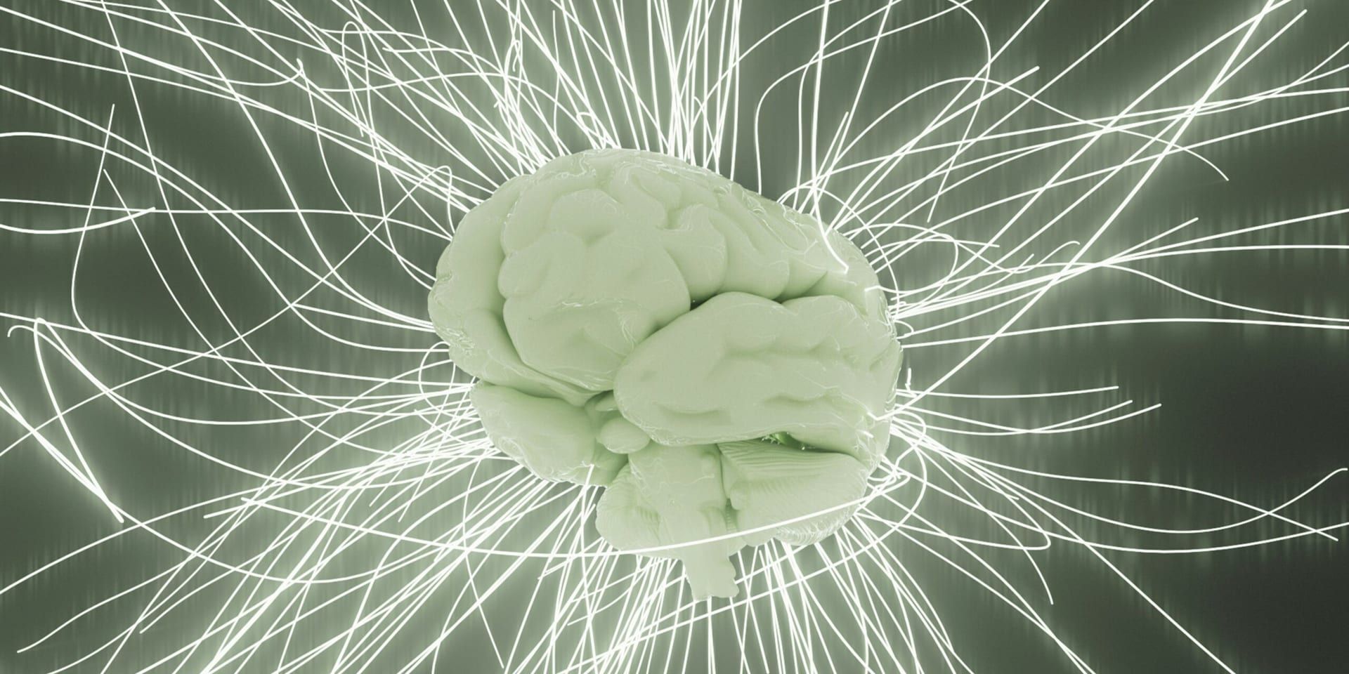 The Role of Emotional Intelligence in Leadership: How to Cultivate a High-Performing Team
