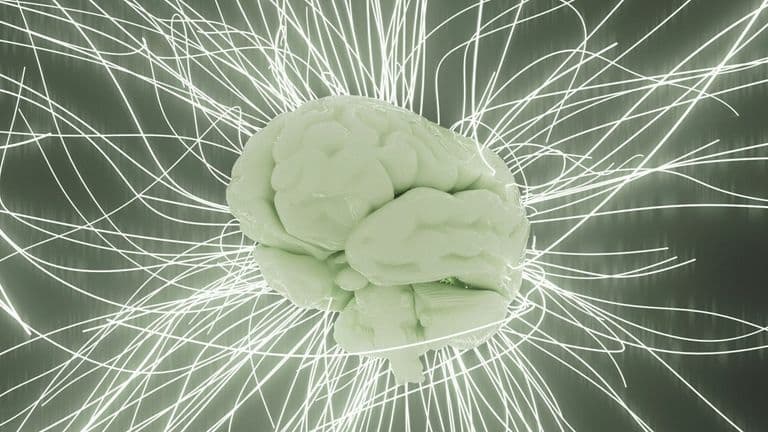 The Role of Emotional Intelligence in Leadership: How to Cultivate a High-Performing Team