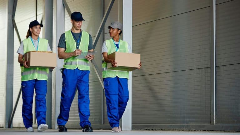 U.S. Job Market Defies Economic Challenges, Showing Record Hiring in November 2024