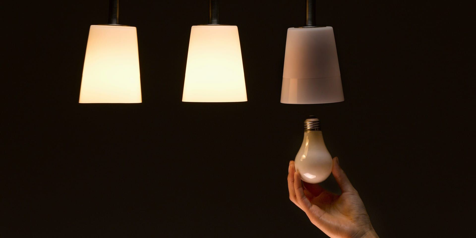 Mastering Change Management: Leading Your Organization Through Transformation in 2024