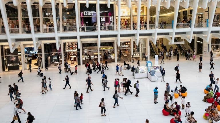 Retailers Navigate Mixed Earnings Amid Shifting Consumer Behavior and Ongoing Inflation