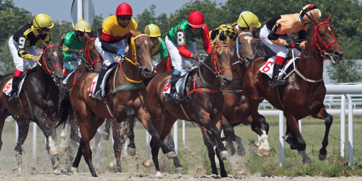 Kentucky Derby 2026 Highlights Leadership, Strategy, and Precision in Elite Horse Racing