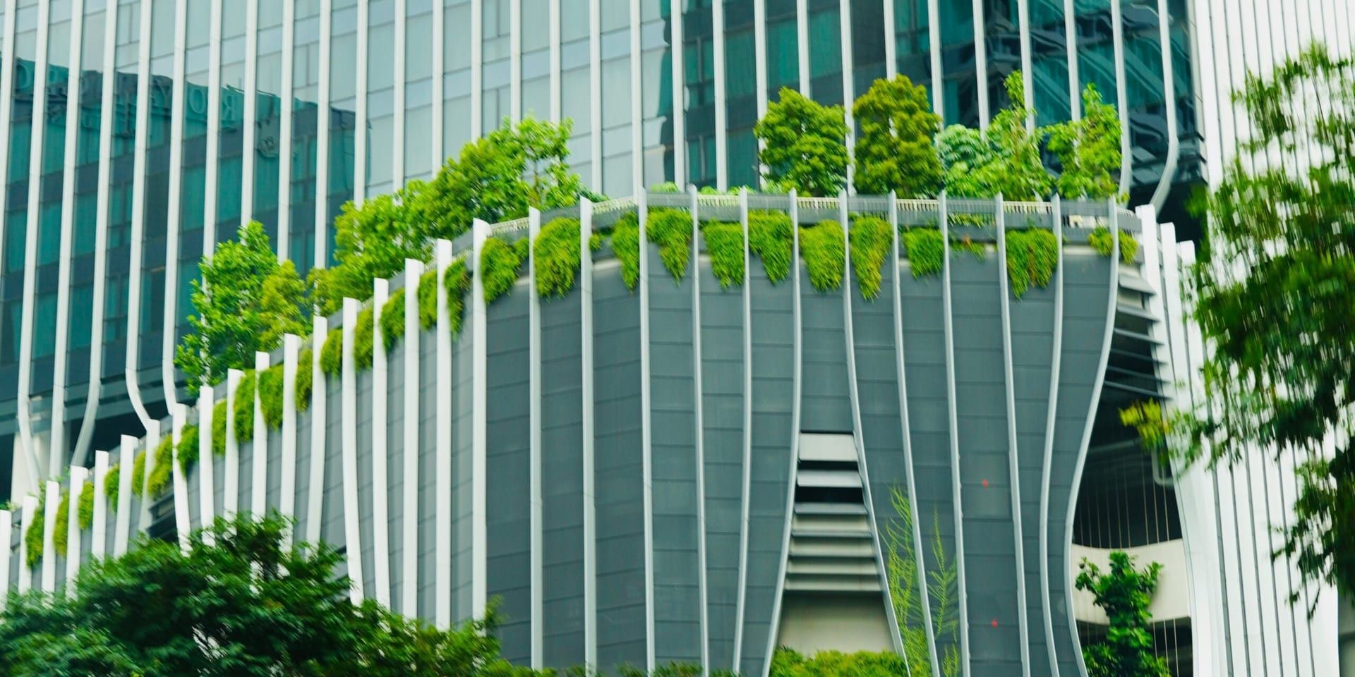 Sustainable Business Strategies for 2025: Paving the Way for a Greener Future