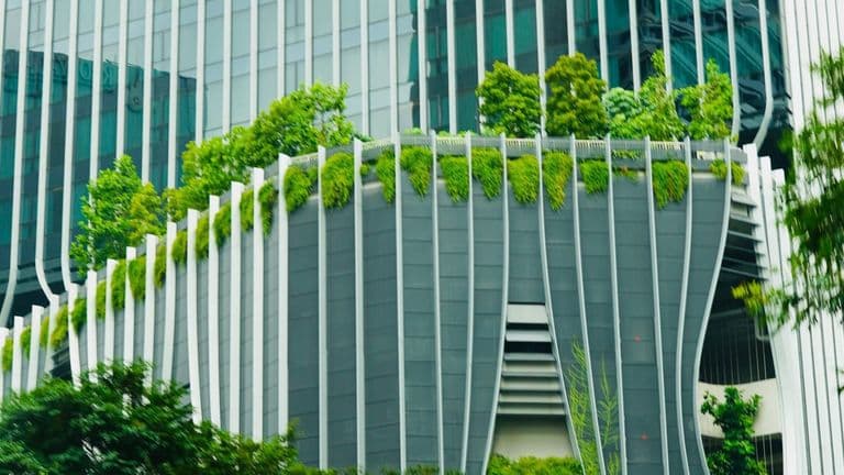Sustainable Business Strategies for 2025: Paving the Way for a Greener Future