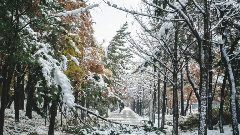 Deadly Winter Storm Unleashes Flooding and Tornadoes Across Eastern U.S., Claiming at Least 18 Lives