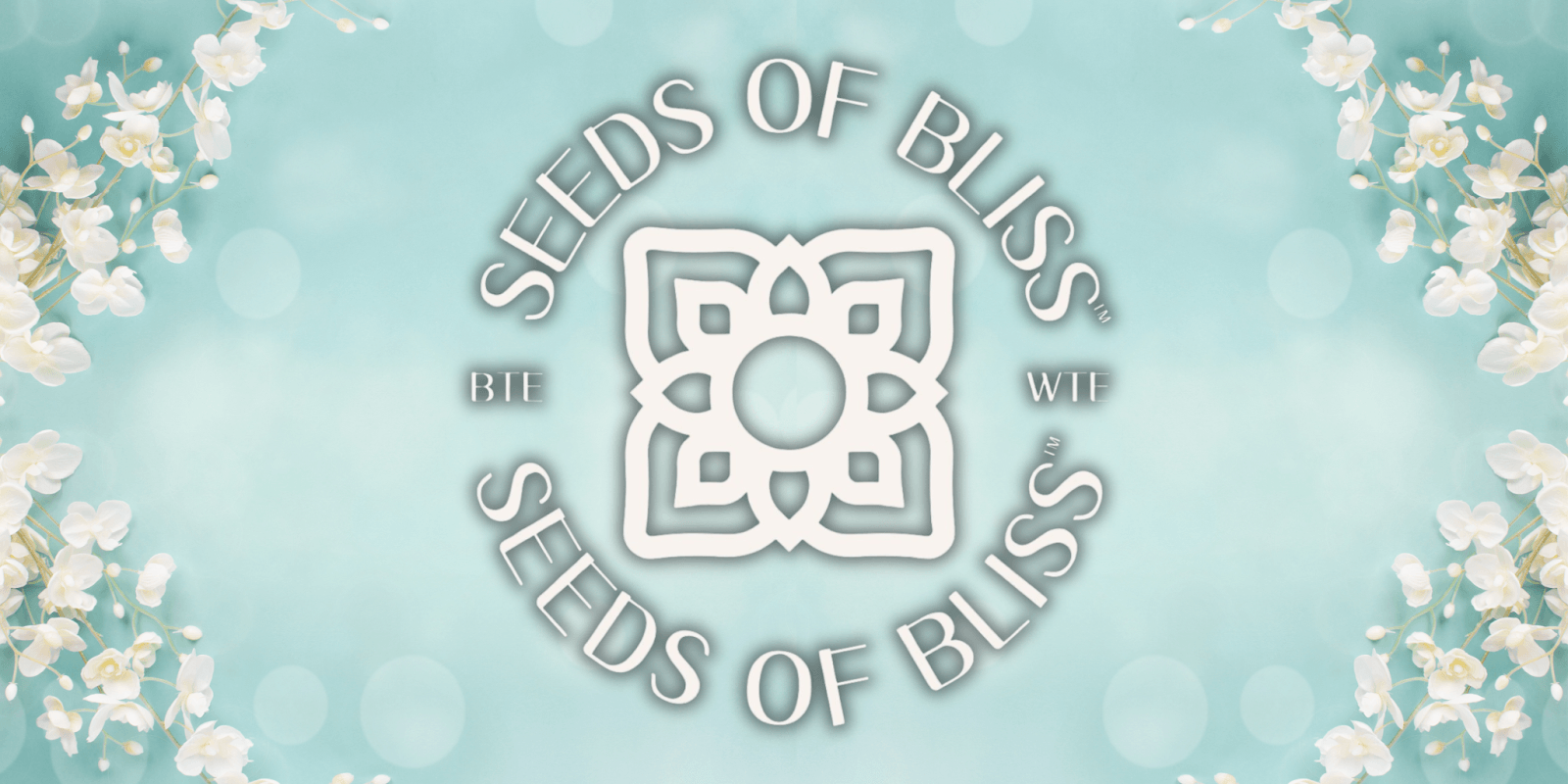 Seeds of Bliss, guiding individuals through spiritual and emotional healing with their signature Awakening the Seeds™ methodology, fostering authentic transformation.