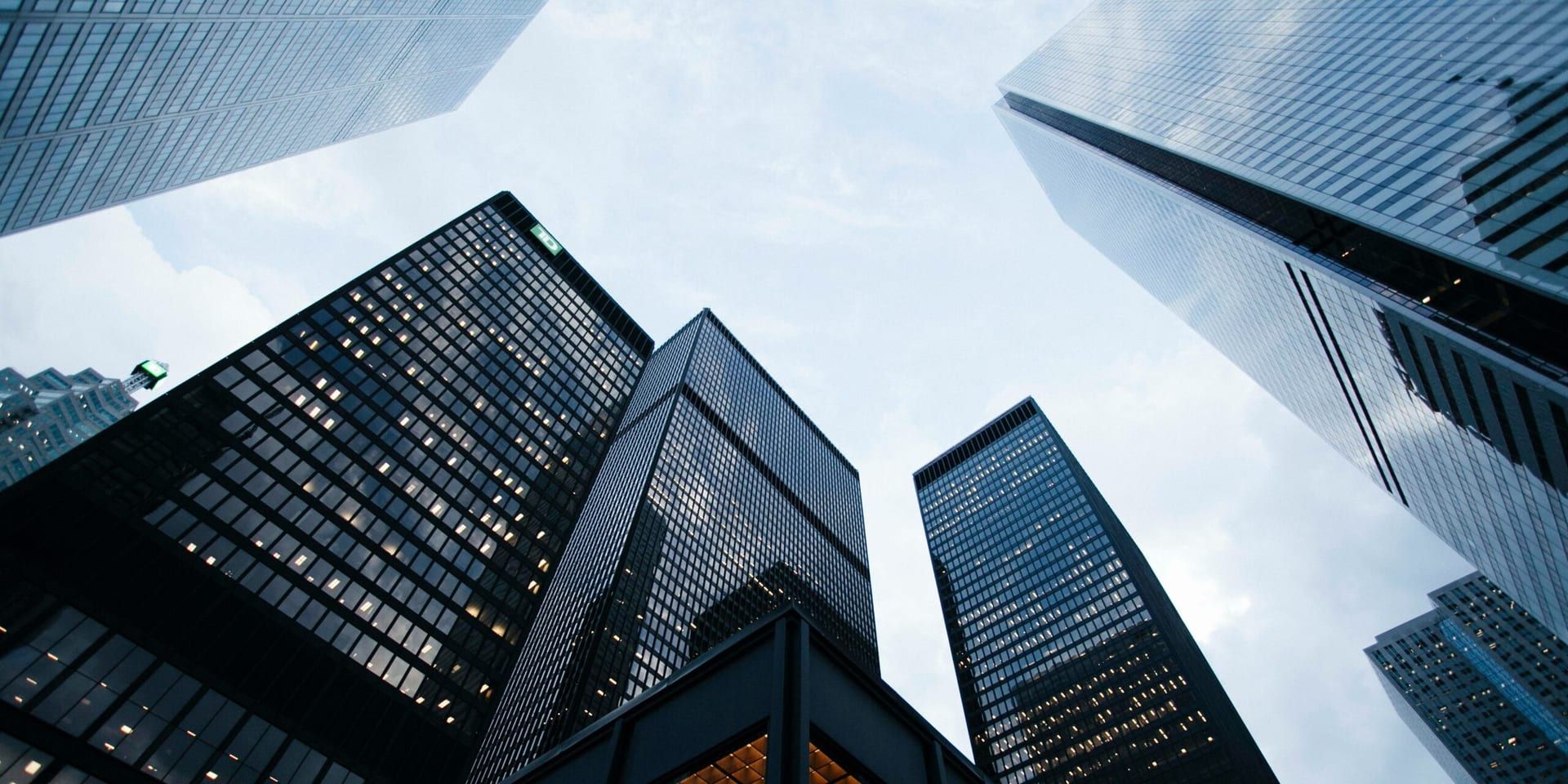 The Rise of Corporate Social Responsibility: Turning Purpose into Profit