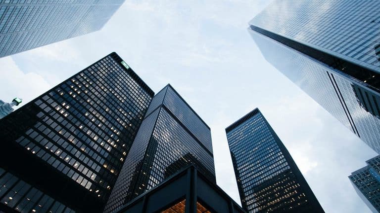 The Rise of Corporate Social Responsibility: Turning Purpose into Profit