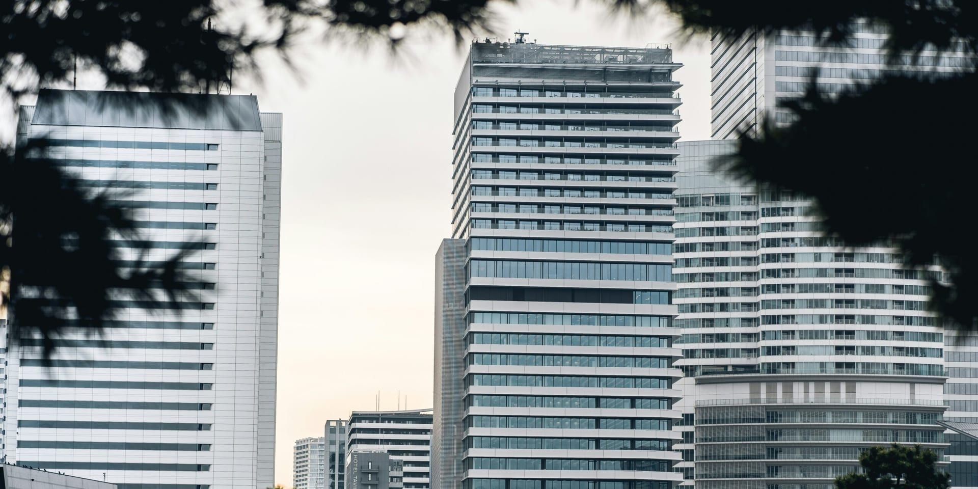 How the 2025 Business Landscape is Shifting: Predictions for Strategy in the New Year